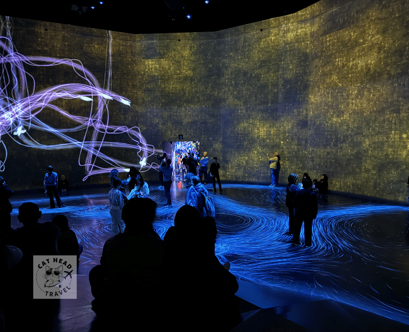 麻布台之丘teamLab Borderless - 無界的世界 Crows are Chased and the Chasing Crows are Destined to be Chased as well: Flying Beyond Borders