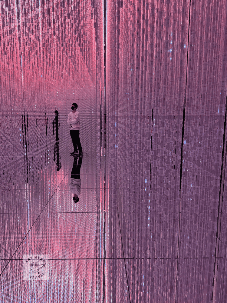 麻布台之丘teamLab Borderless  crystal world