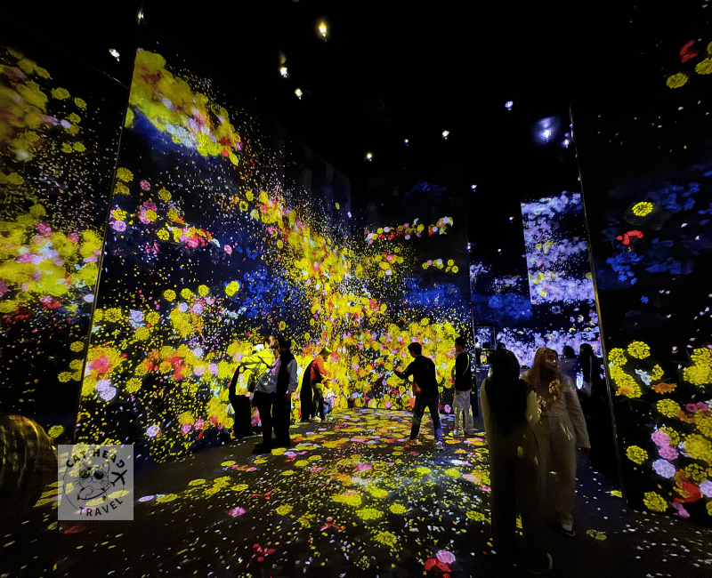 麻布台之丘teamLab Borderless- 無界的世界 Flowers and People, Cannot be Controlled but Live Together – A Whole Year per Hour
