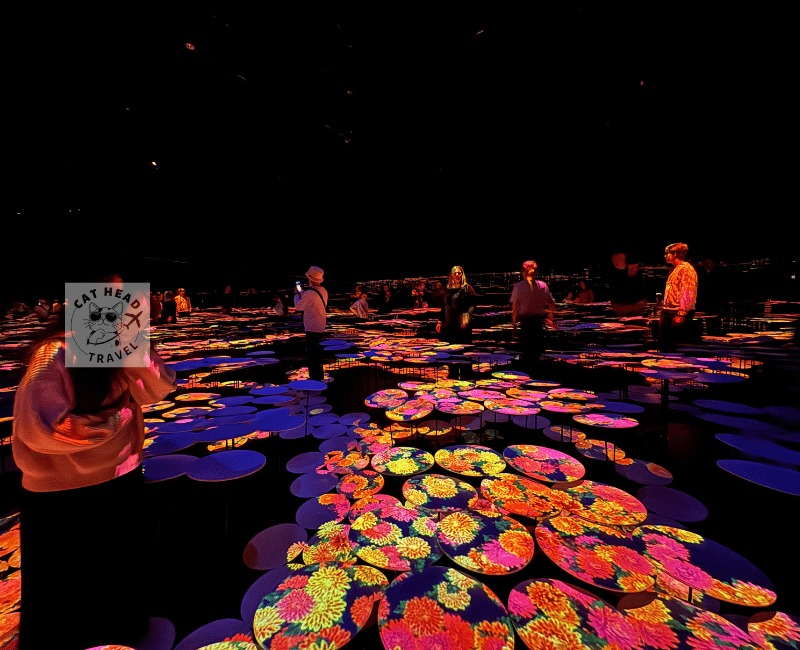 麻布台之丘teamLab Borderless -無界的世界 Flutter of Butterflies Beyond Borders: Memory of Topography