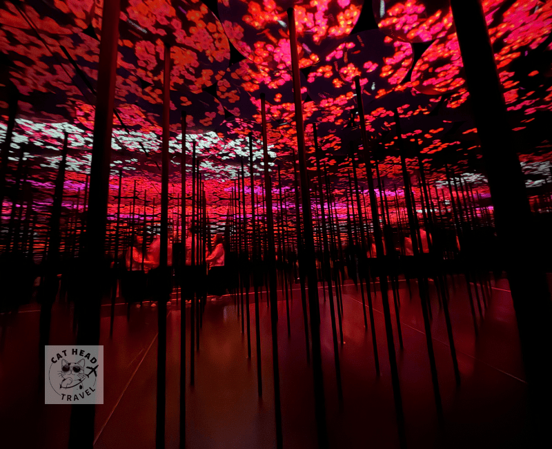 麻布台之丘teamLab Borderless -無界的世界 Flutter of Butterflies Beyond Borders: Memory of Topography