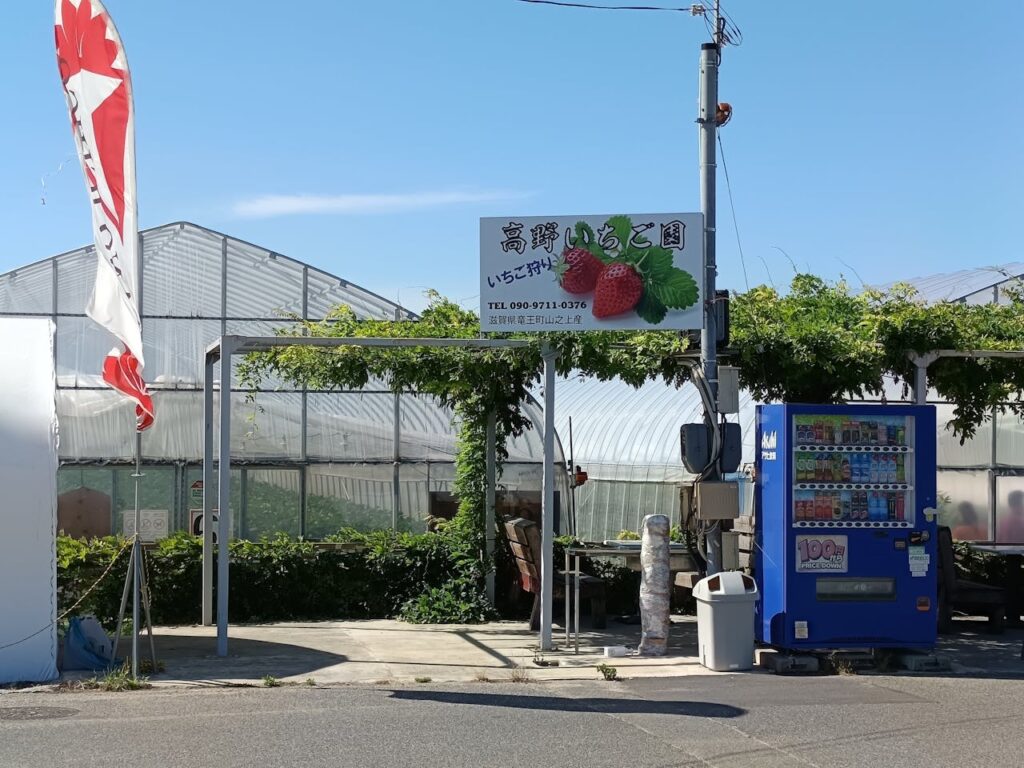 日本水果採摘