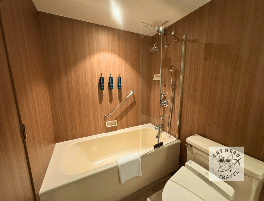 King Hilton Deluxe Room, Hilton Nagoya