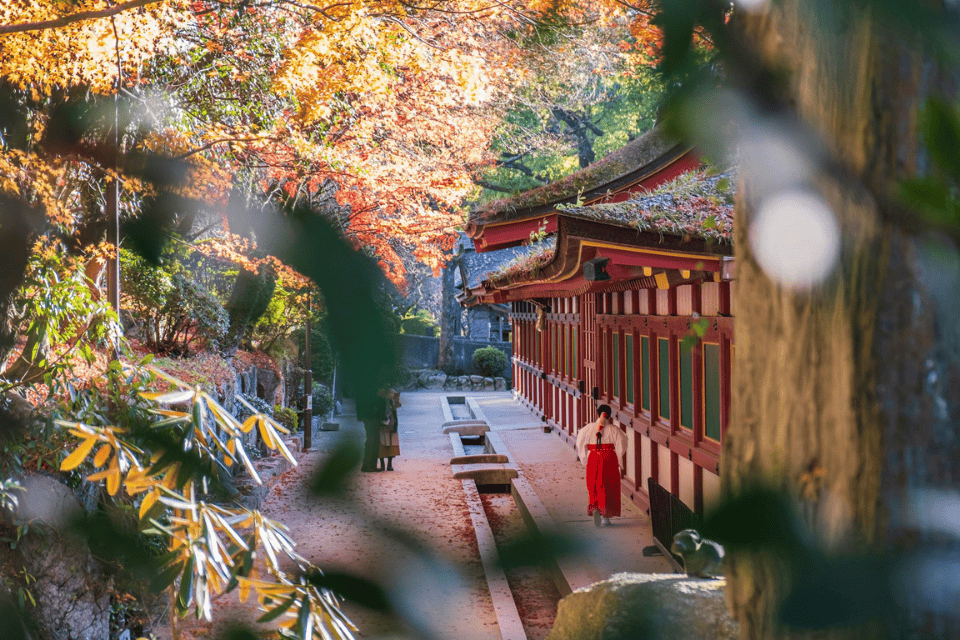 Autumn in Fukuoka