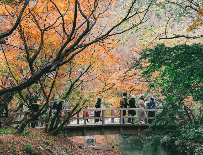 由布院