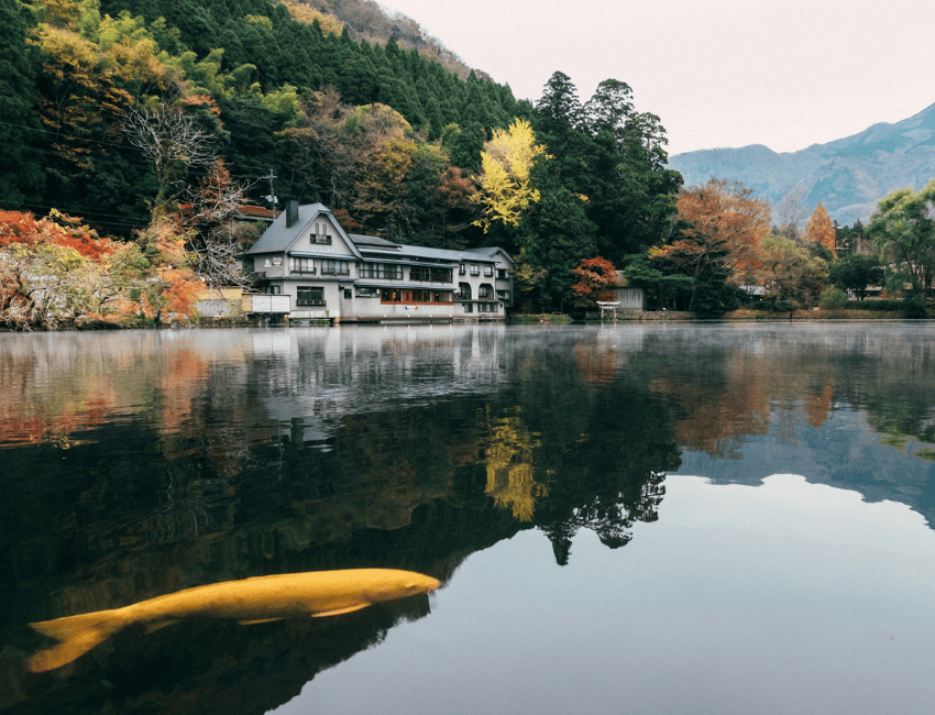 Yufuin & Kinrin Lake (Oita)