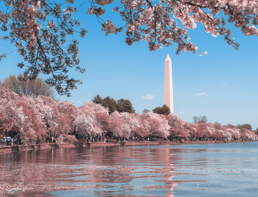 華盛頓 DC 潮汐湖畔Tidal Basin