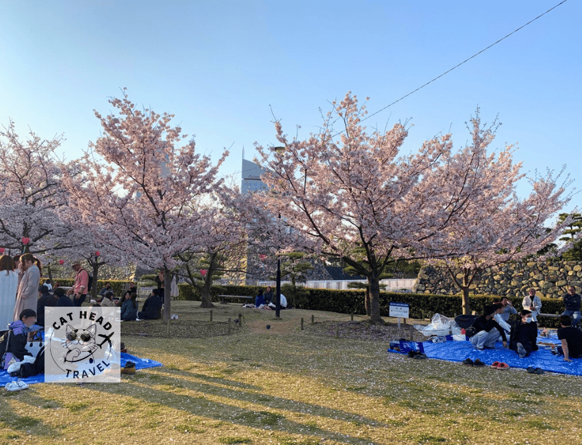 高松春天