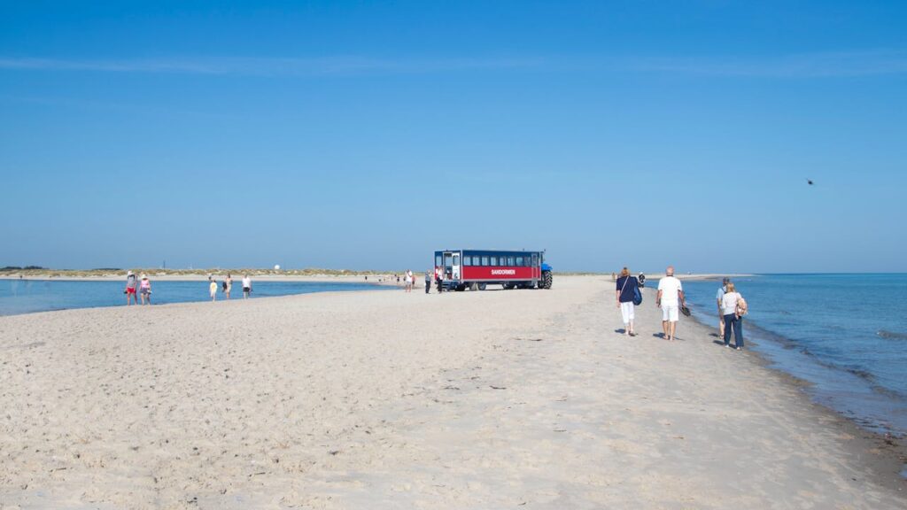 斯卡恩Skagen
