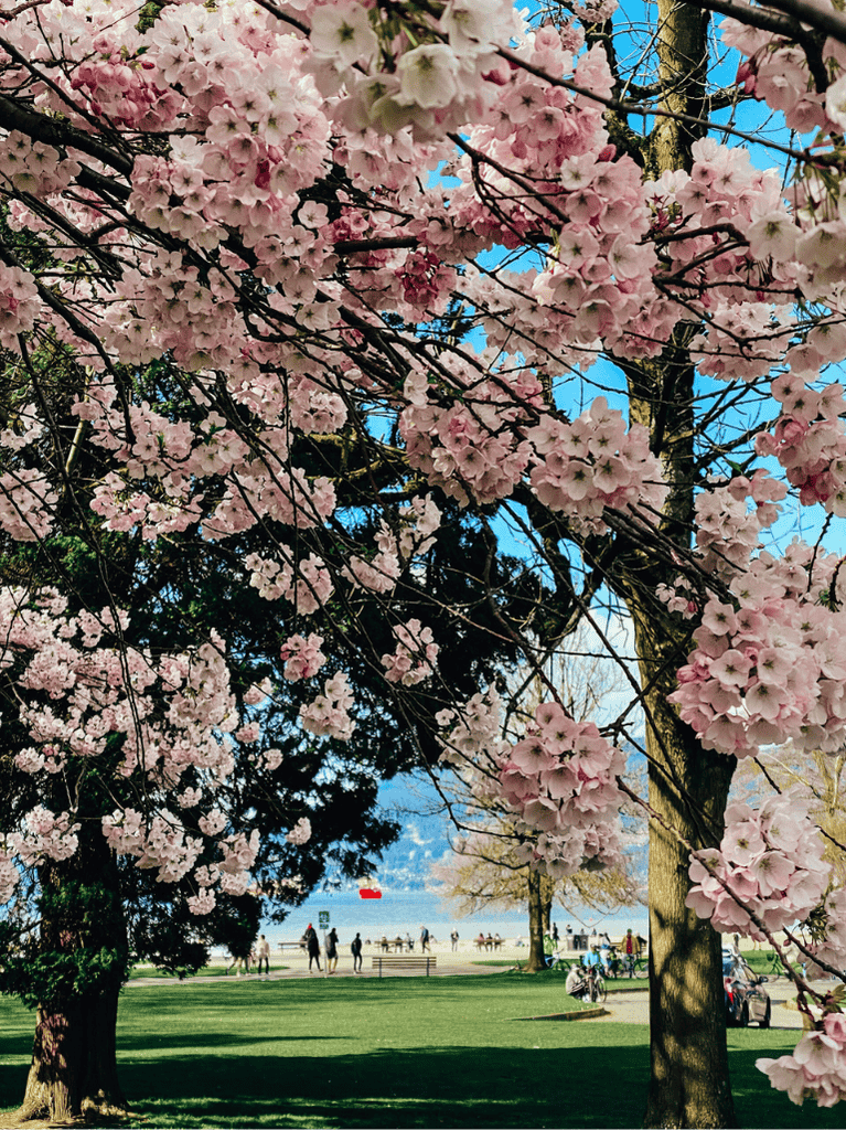 Kitsilano Beach, Vancouver