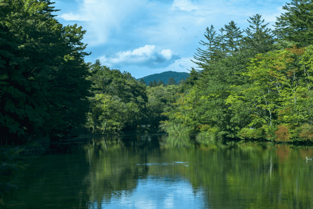雲場池