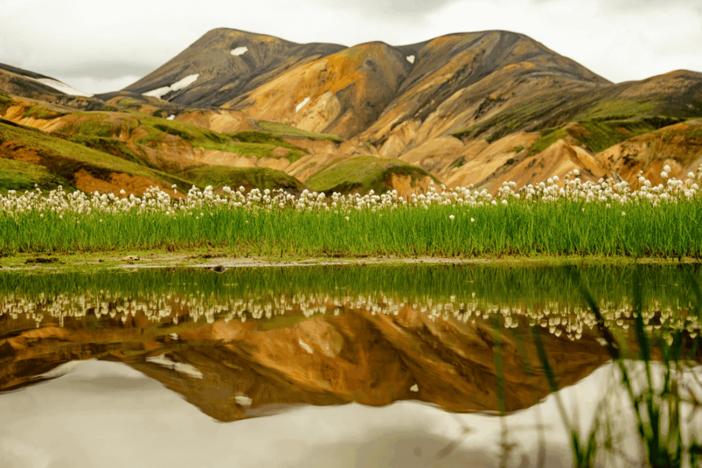 內陸高地 Landmannalaugar