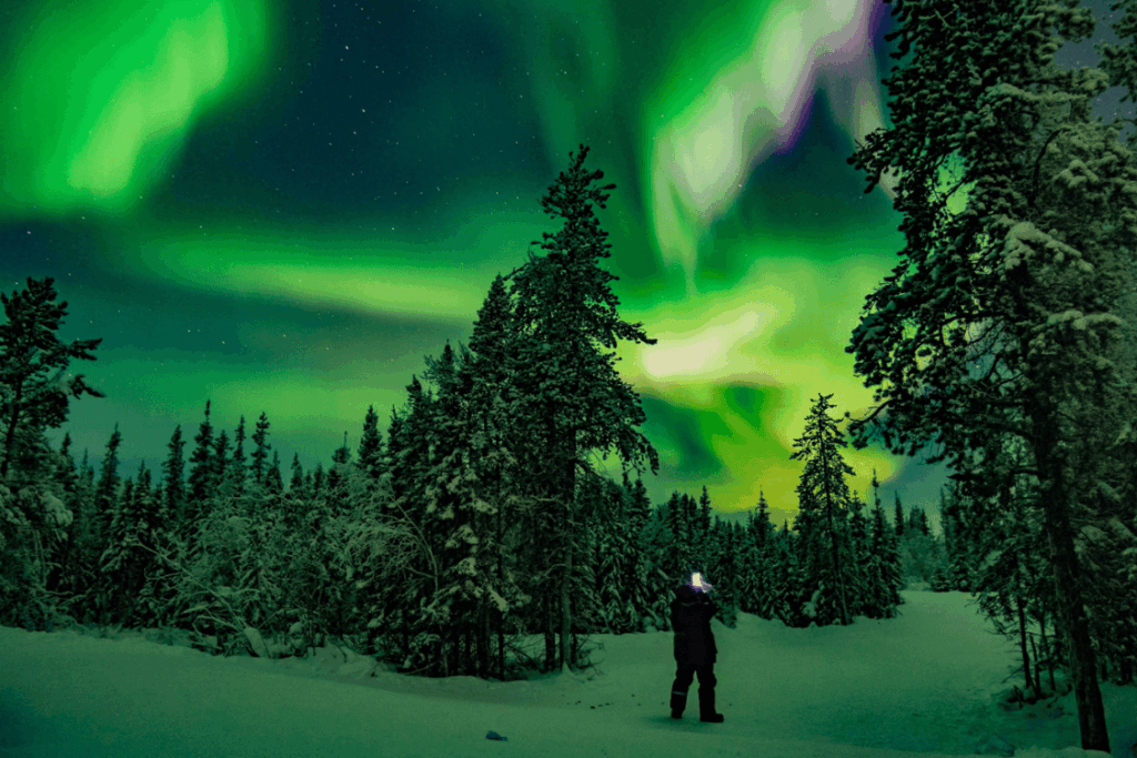 黃刀鎮 Yellowknife