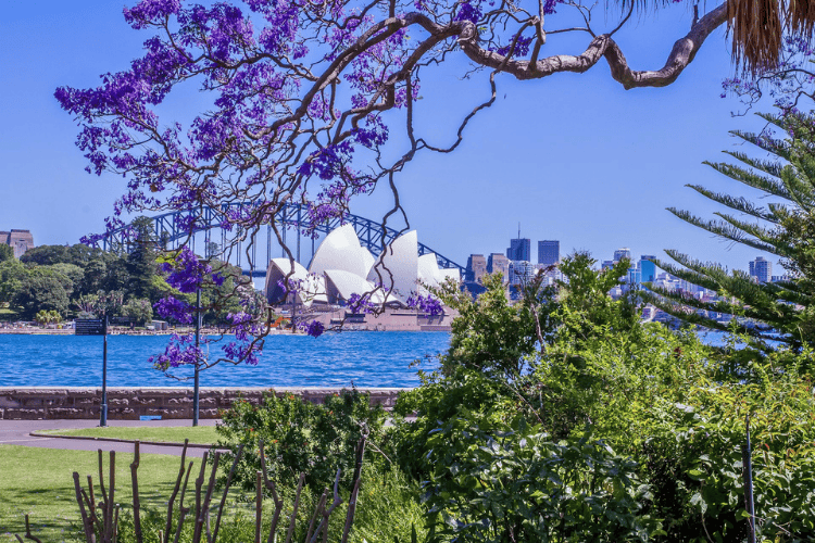 皇家植物園 Royal Botanic Garden, 雪梨港 Sydney Harbour