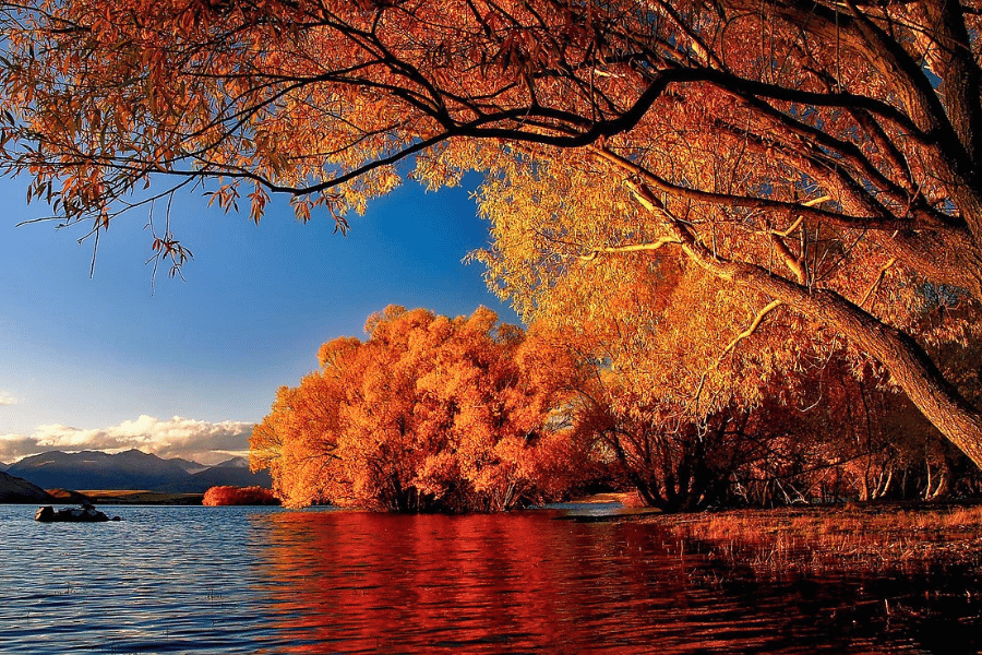 蒂卡波湖 紐西蘭 Lake Tekapo, New Zealand