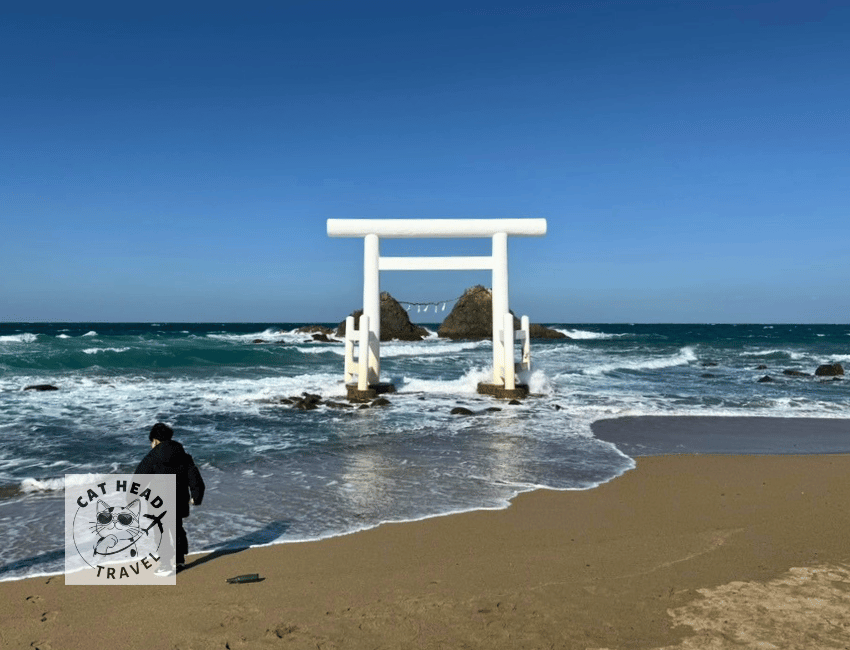 櫻井二見浦（白色鳥居＋夫婦岩）