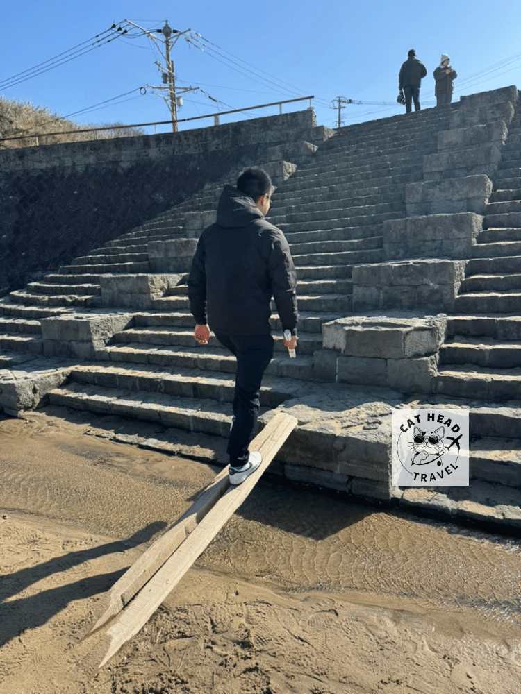 櫻井二見浦（白色鳥居＋夫婦岩）