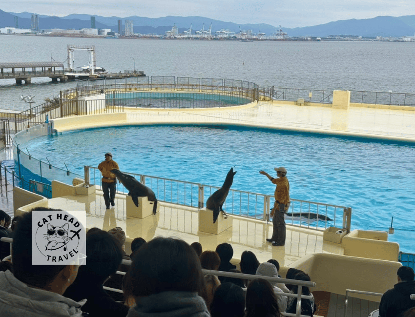 Marine World Uminonakamichi (Fukuoka)