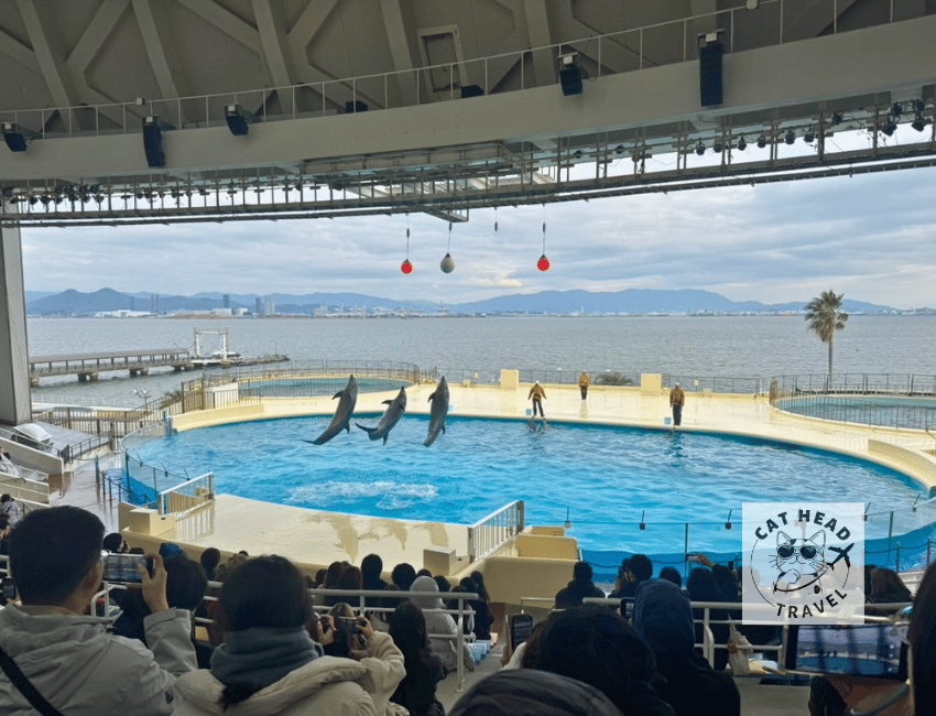 Marine World Uminonakamichi (Fukuoka)