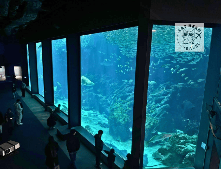 Marine World Uminonakamichi (Fukuoka)