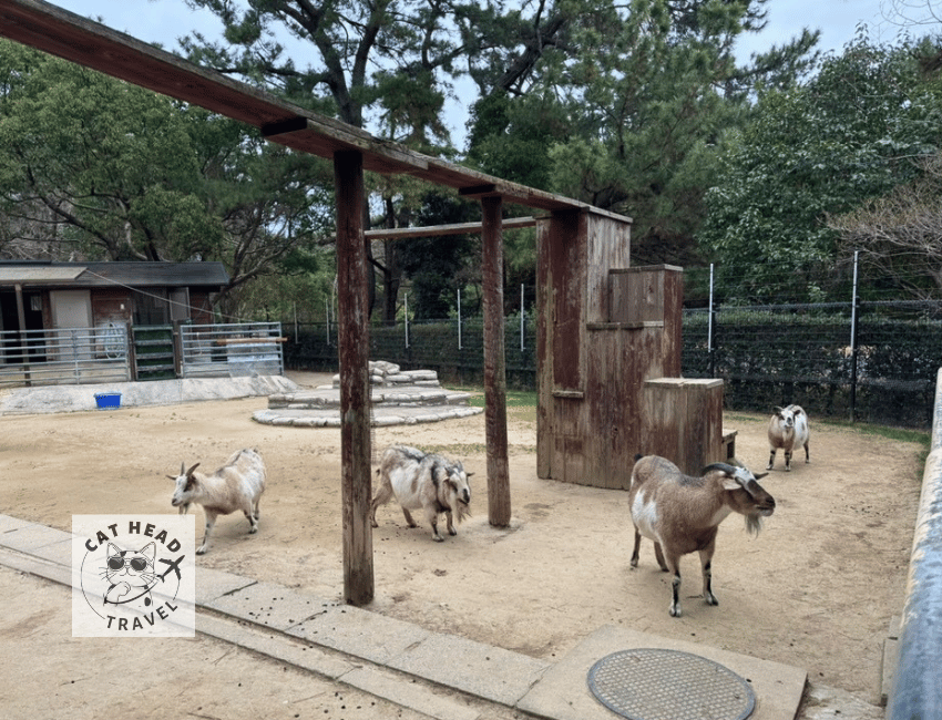 Animal Forest, Uminonakamichi Seaside Park