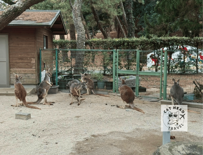 Animal Forest, Uminonakamichi Seaside Park