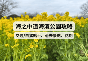 【福岡自由行】海之中道海濱公園一日遊攻略：交通/自駕貼士、必去景點、2026花期、單車租借
