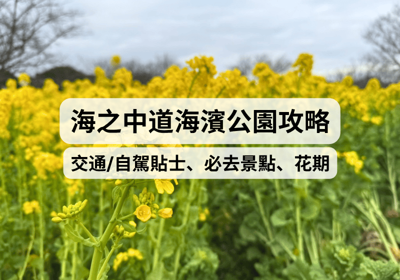 【福岡自由行】海之中道海濱公園一日遊攻略：交通/自駕貼士、必去景點、2026花期、單車租借