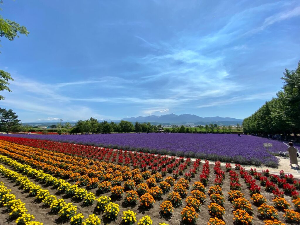 富田農場 Farm Tomita