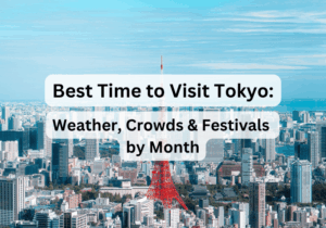When Is the Best Time to Visit Tokyo? Weather, Crowds & Festivals by Month