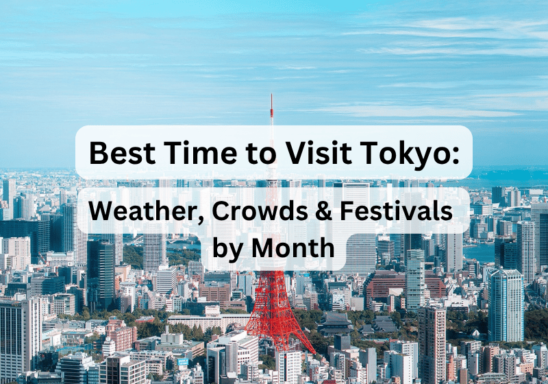 When Is the Best Time to Visit Tokyo? Weather, Crowds & Festivals by Month