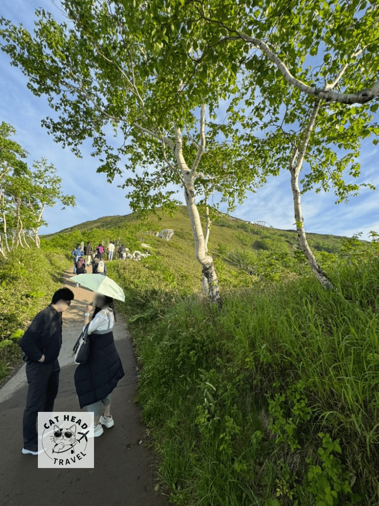 北海道雲海平台