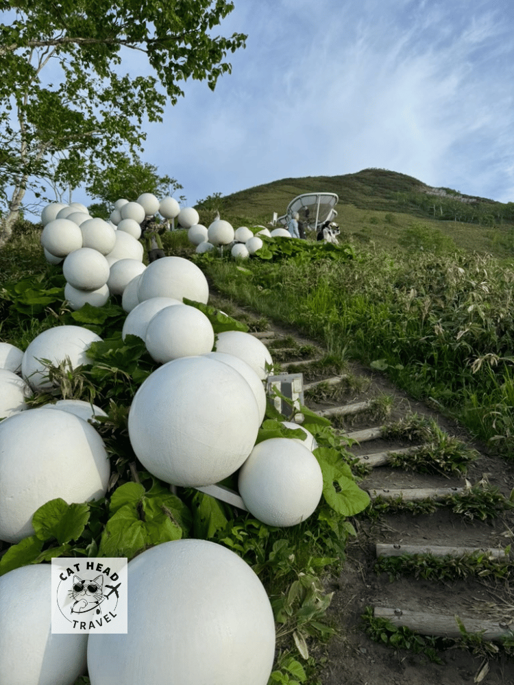 北海道雲海平台
