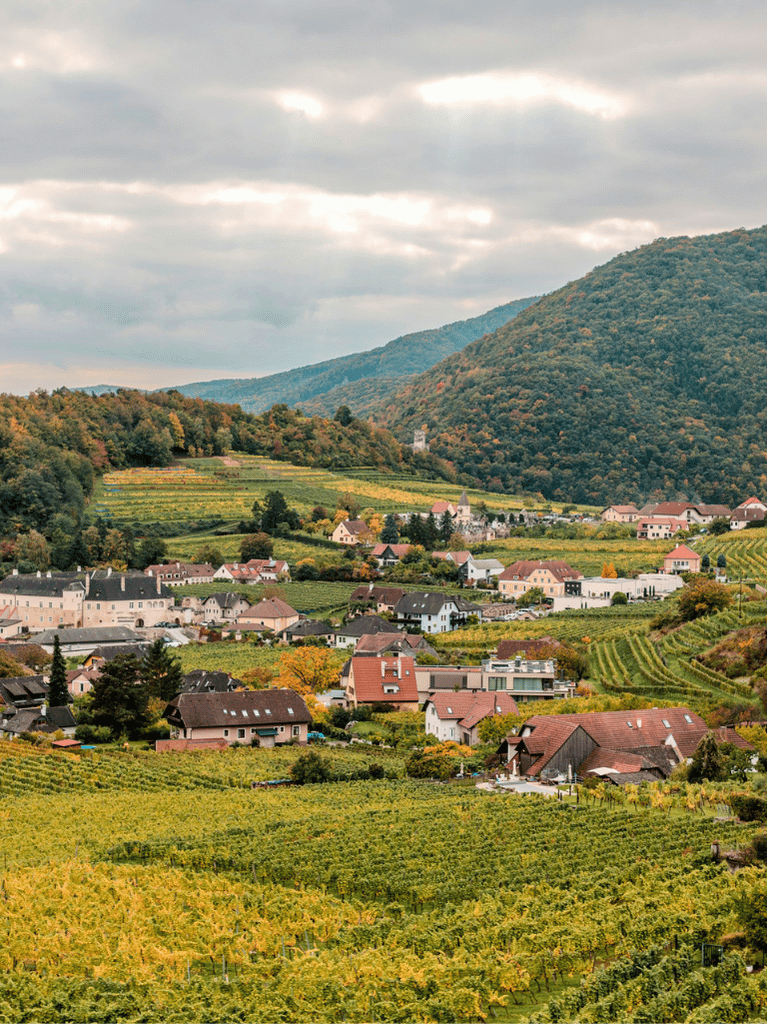 瓦豪世界遺產河谷 Weißenkirchen in der Wachau 