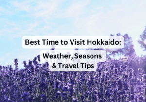 Best Time to Visit Hokkaido, Japan: Weather, Seasons & Travel Tips