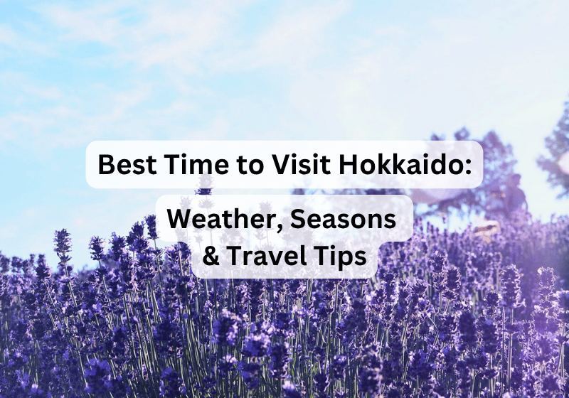 Best Time to Visit Hokkaido, Japan: Weather, Seasons & Travel Tips