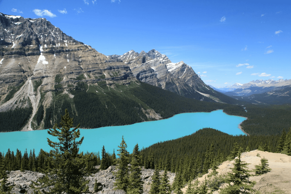 佩投湖 Peyto Lake