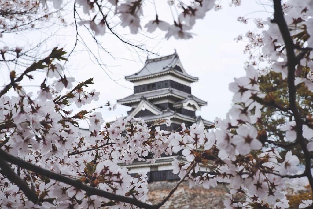 松本城 Matsumoto Castle