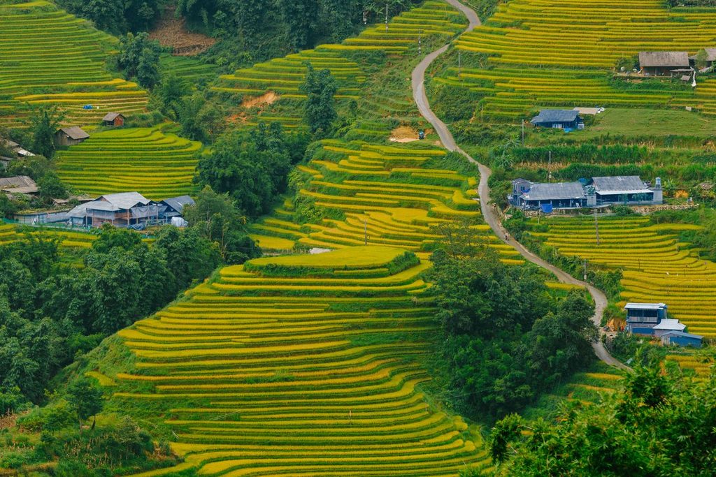 芒花谷 Muong Hoa Valley